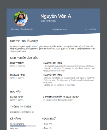 Mẫu CV 006