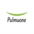 Công ty TNHH Pulmuone Việt Nam