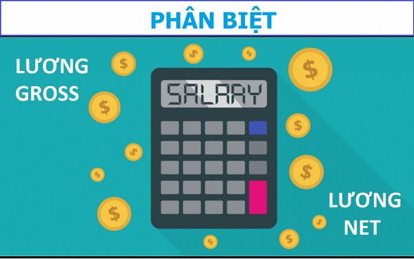 Phân biệt lương Gross và lương Net